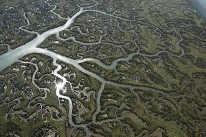 https://conservationcorridor.org/digests/2019/05/mapping-connectivity-for-the-worlds-rivers/